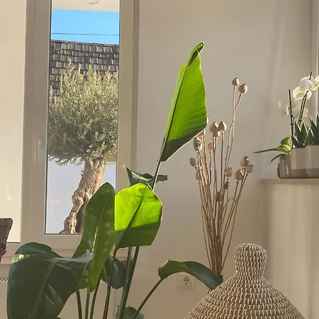 Apartmán Piccola Grande Casa *